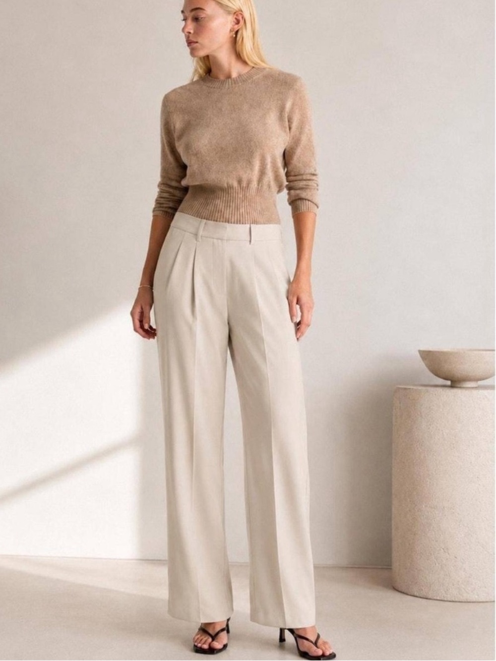 Quince Stretch Crepe Pleated Wide Leg Pants Cream (Sand) Size 10 Trousers
